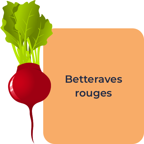 Betteraves rouges