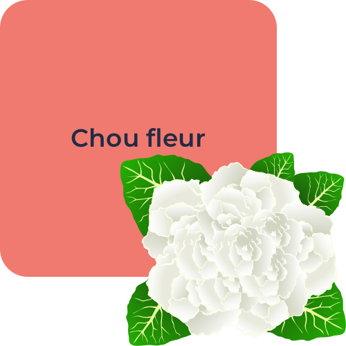 Chou fleur