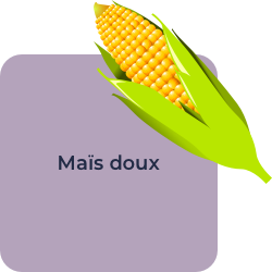 Maïs doux