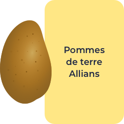 Pommes de terre Allians