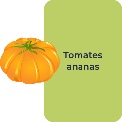 Tomates ananas