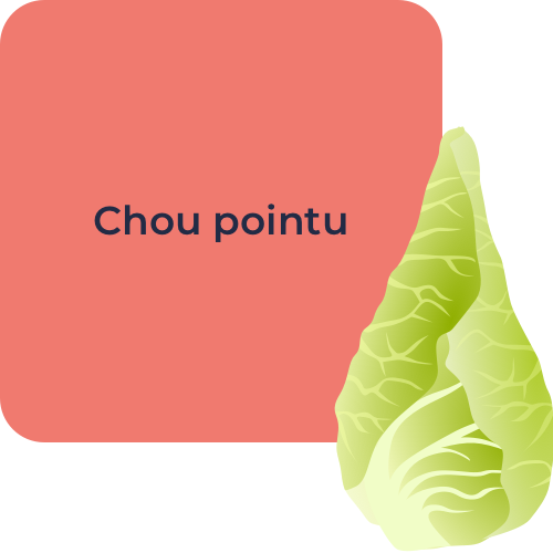 Chou pointu