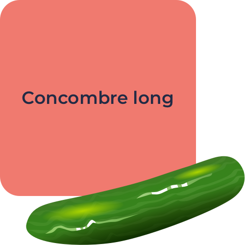 Concombre long